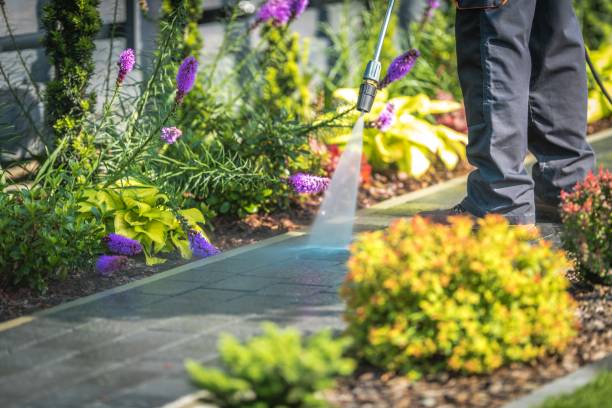 Best Boat and Dock Cleaning  in Iron Mountain, MI